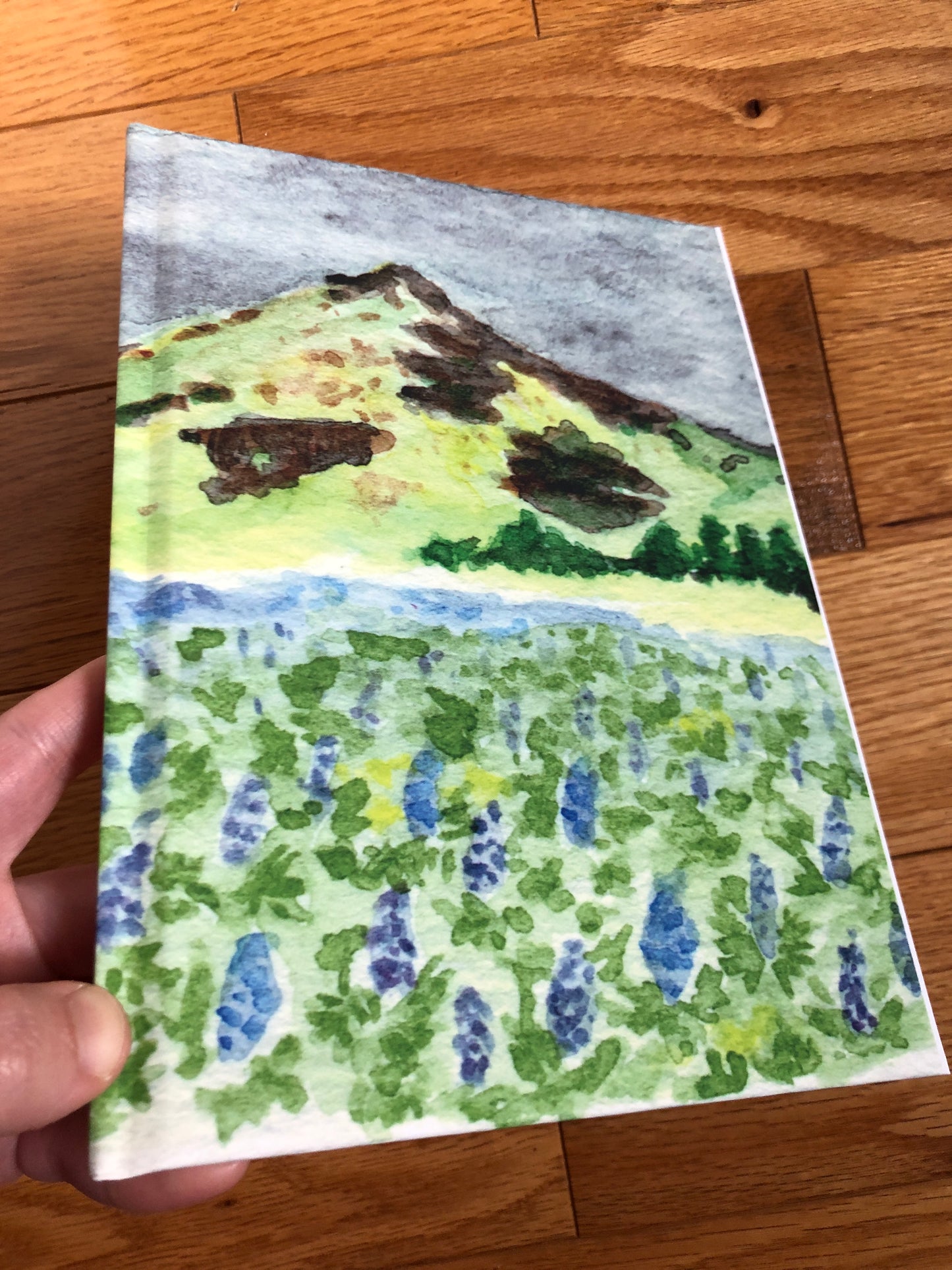 Icelandic Lupines Journal