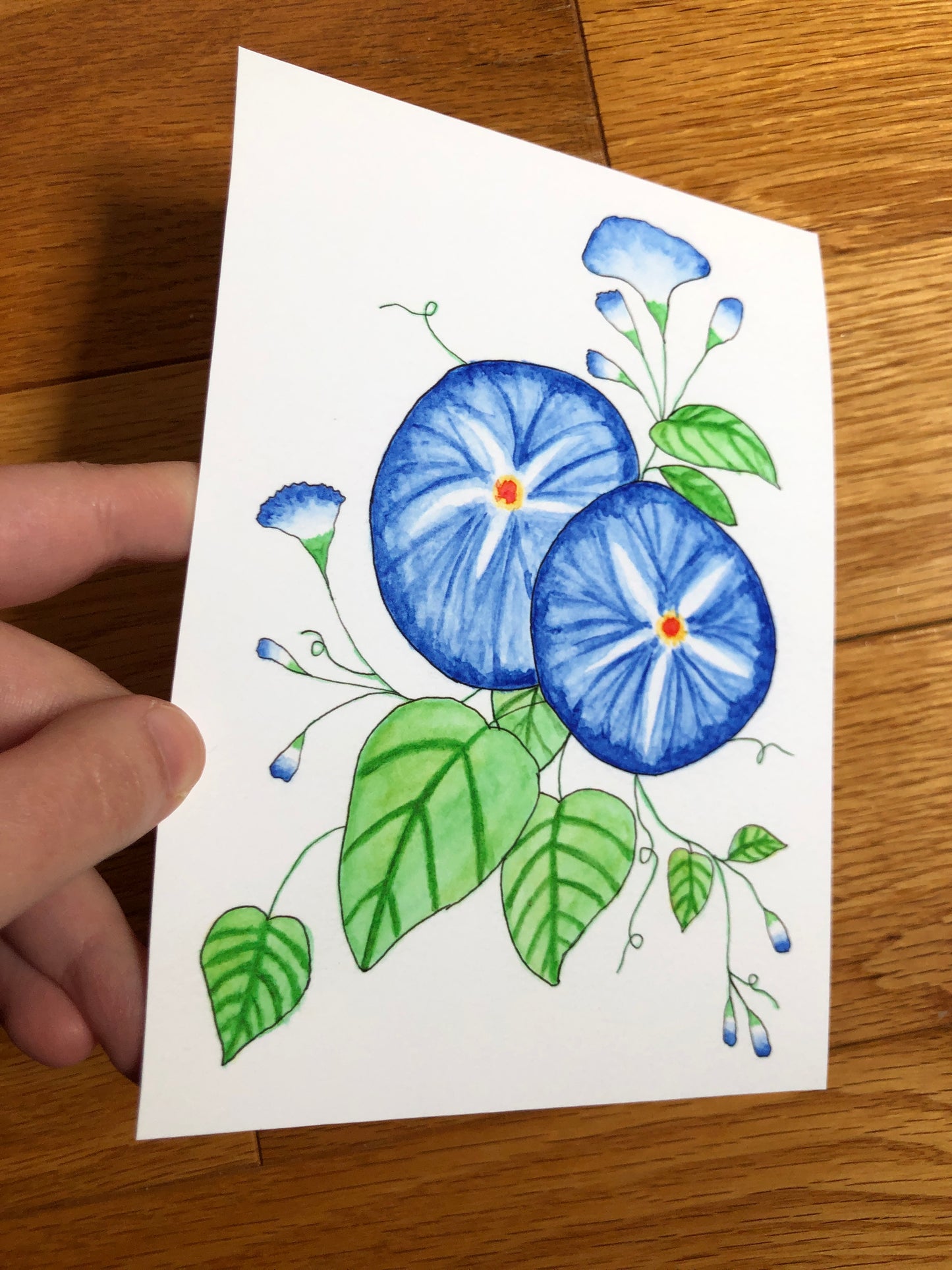 Morning Glory Watercolor Print - Only ONE of this paper type! -