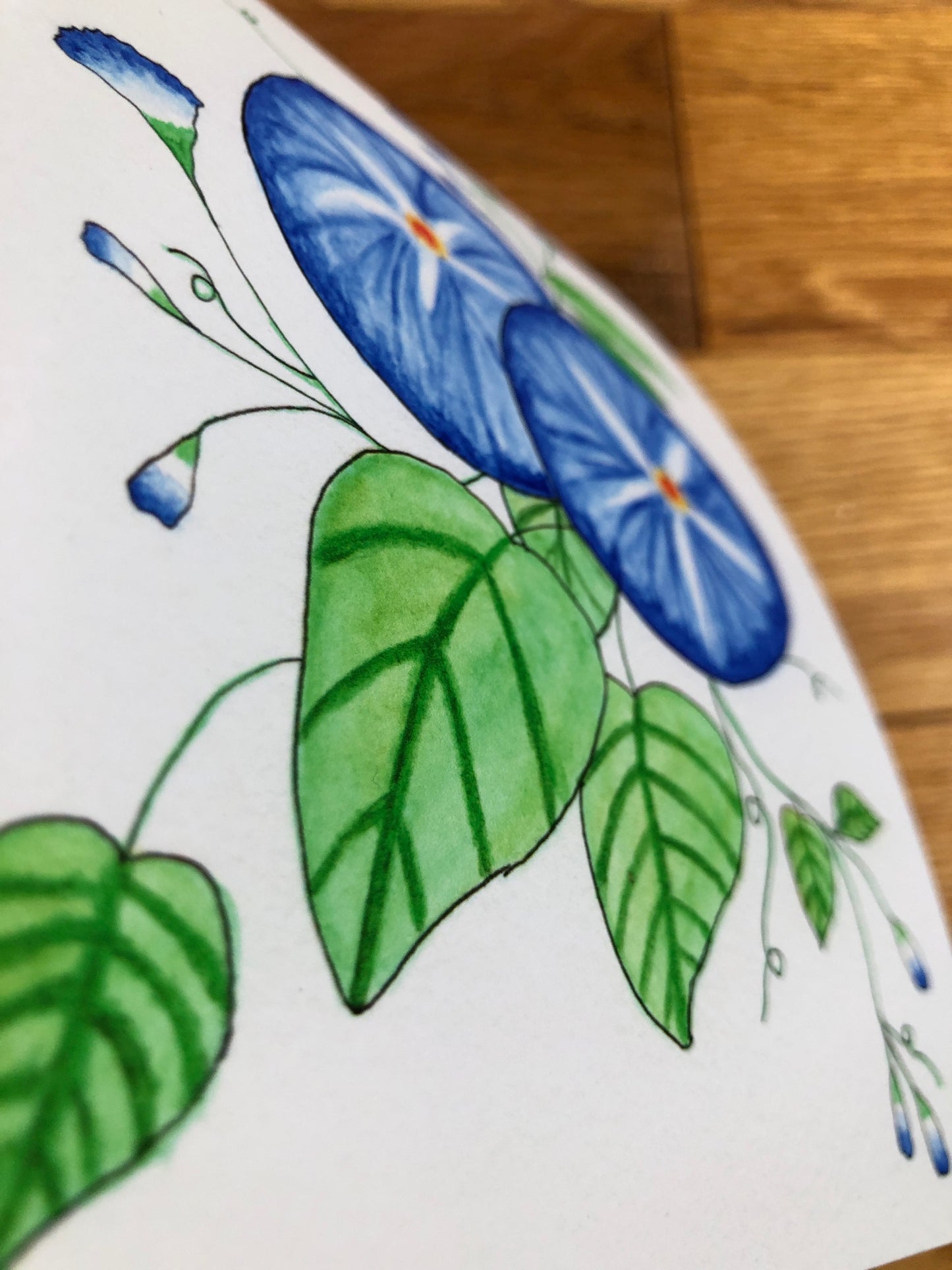 Morning Glory Watercolor Print - Only ONE of this paper type! -