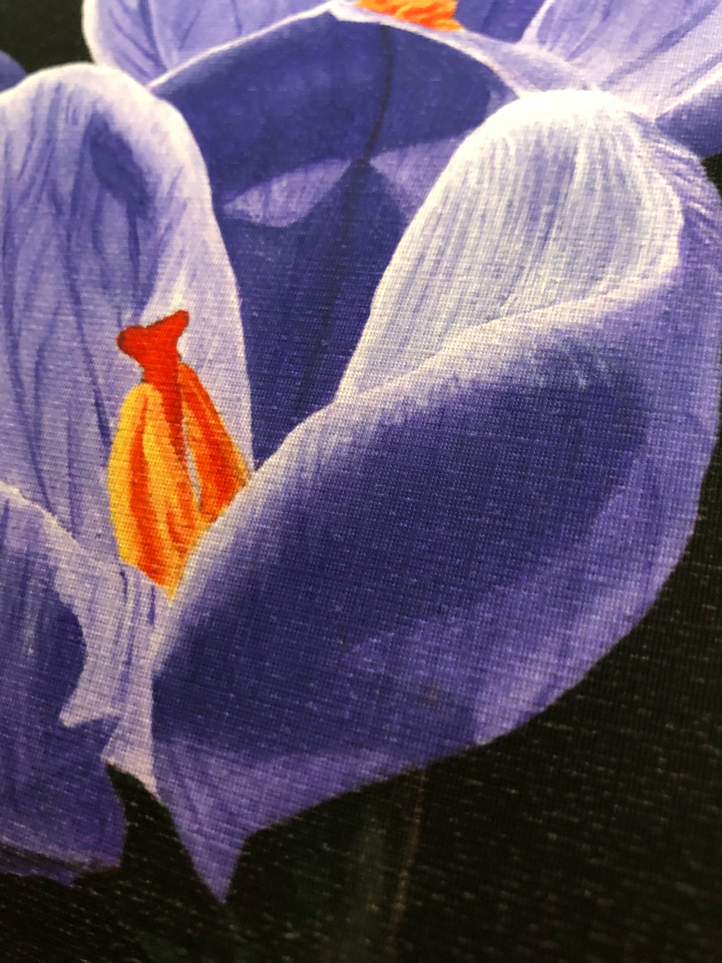 Crocus print - Only ONE of this paper type! -