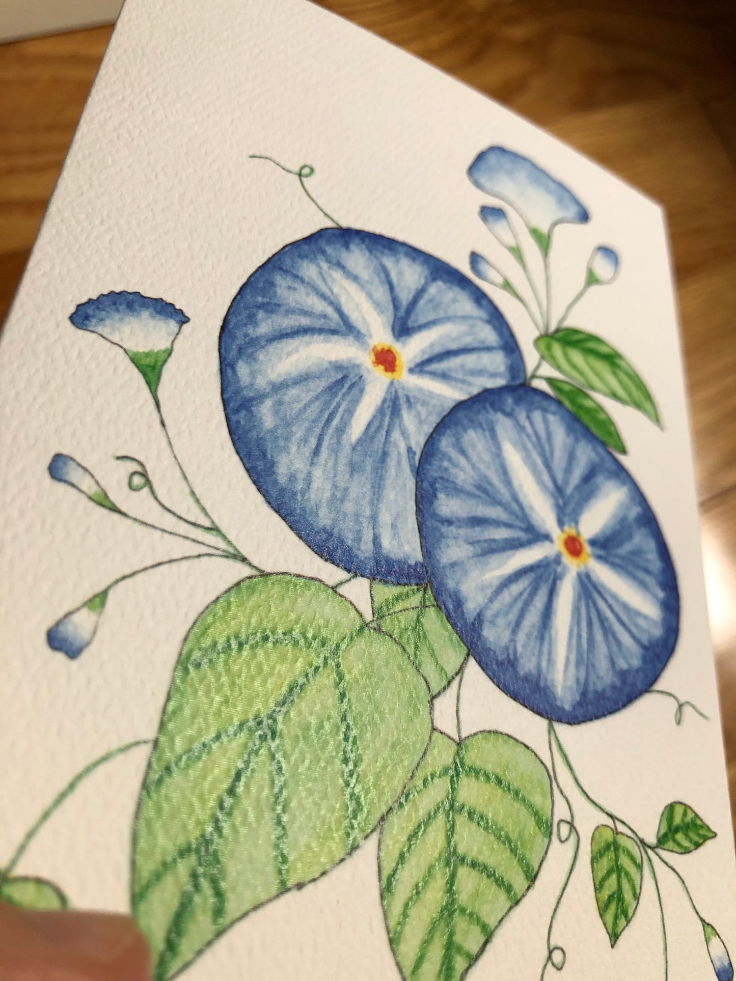 Morning Glory Notecard - Only one card of this paper type! -
