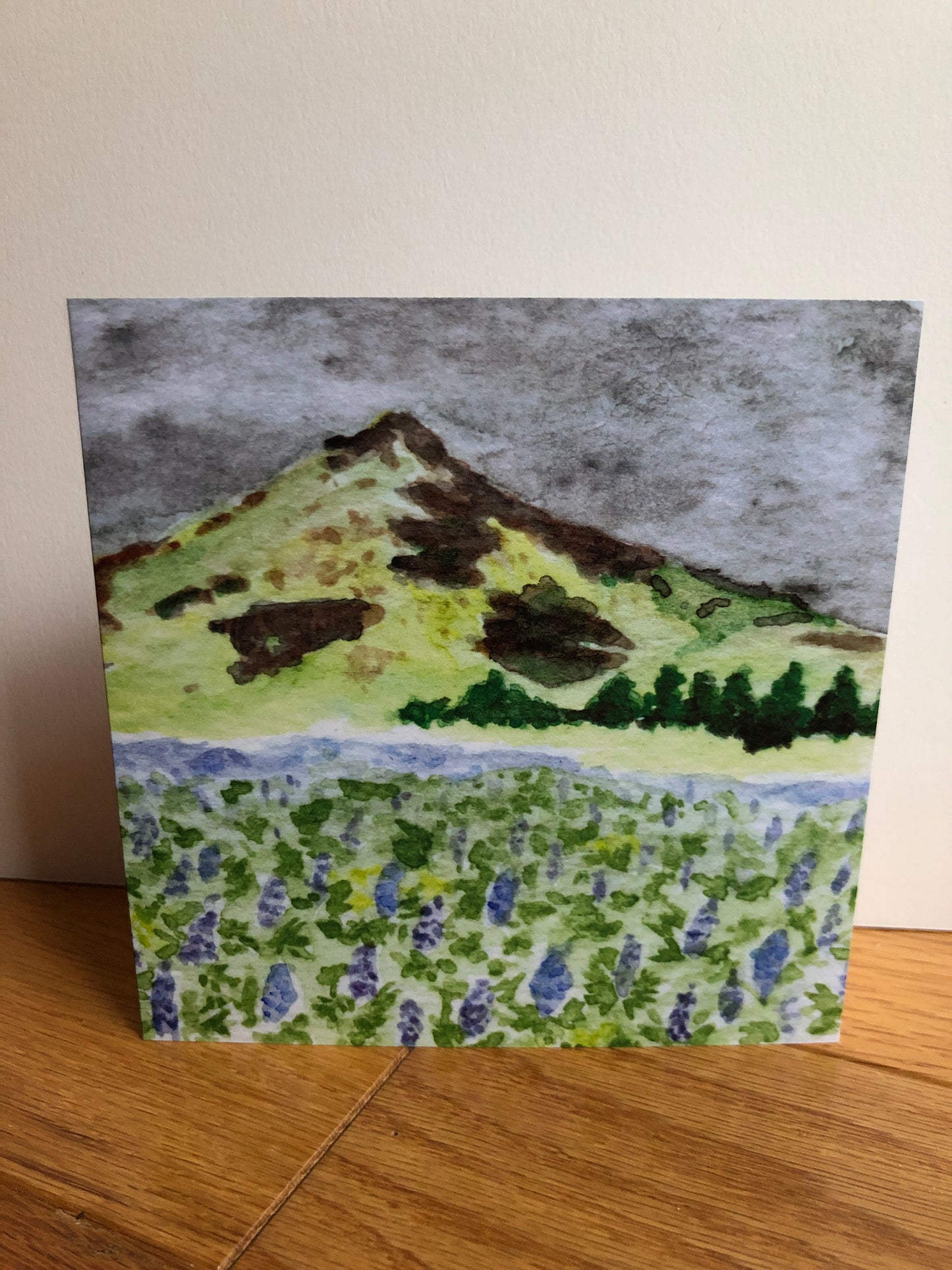 Icelandic Lupines watercolor notecard