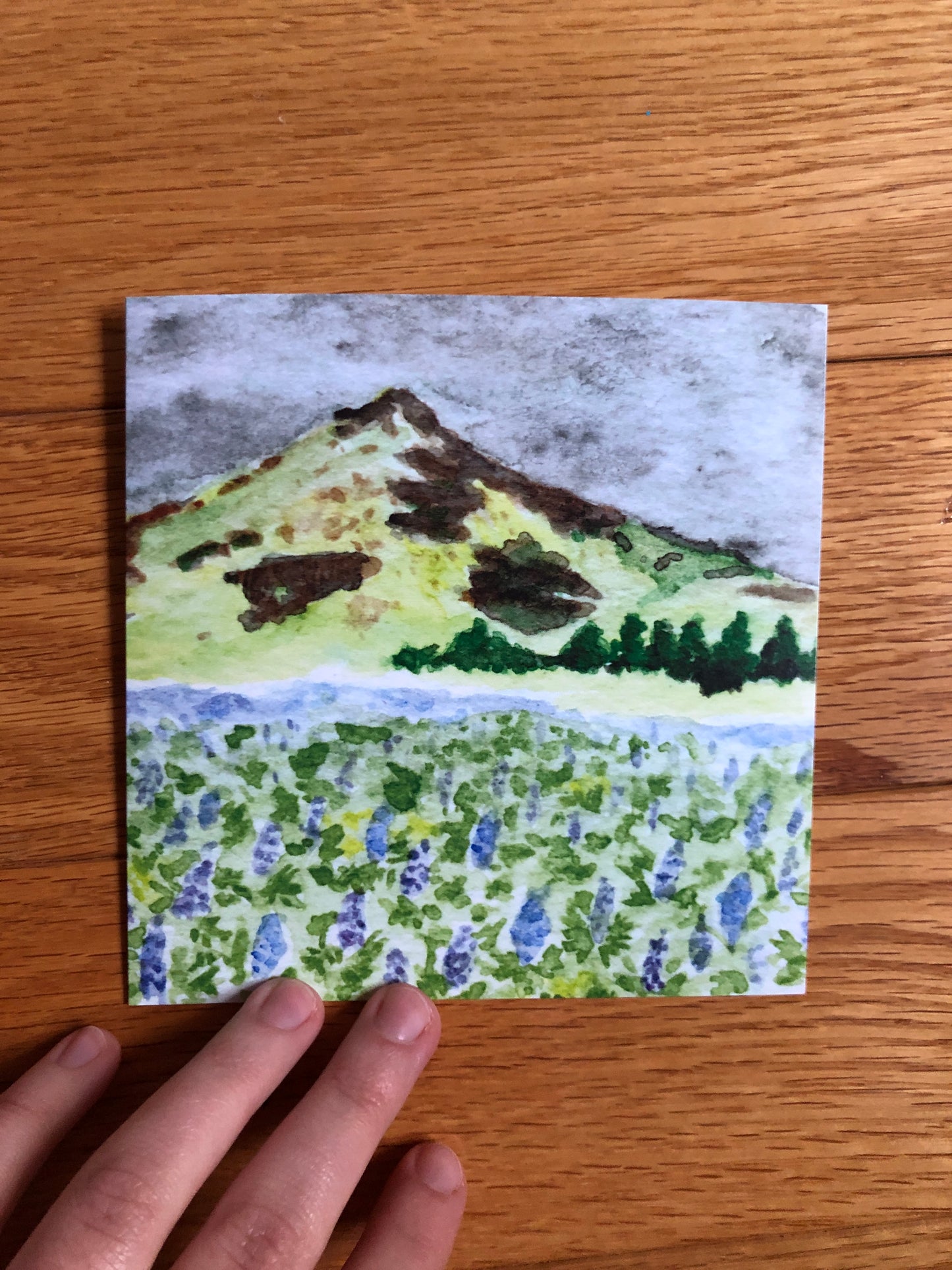 Icelandic Lupines watercolor notecard