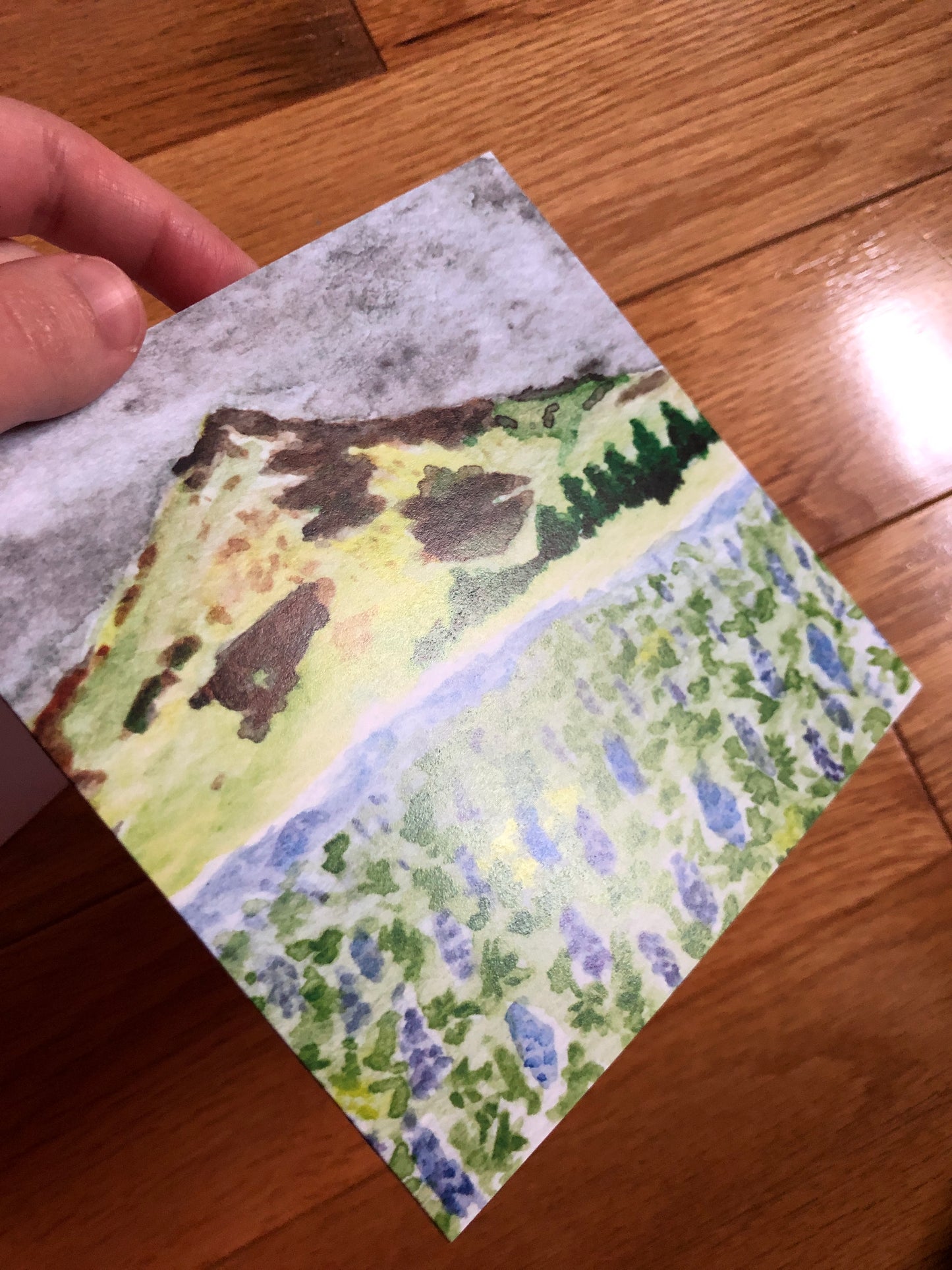 Icelandic Lupines watercolor notecard