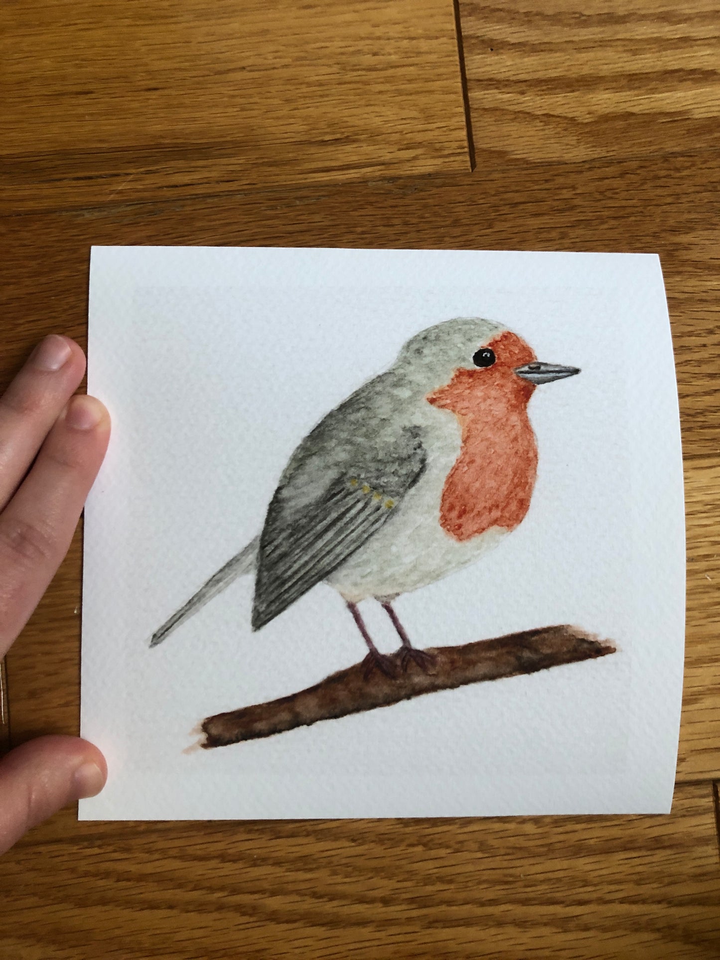 English Robin watercolor print