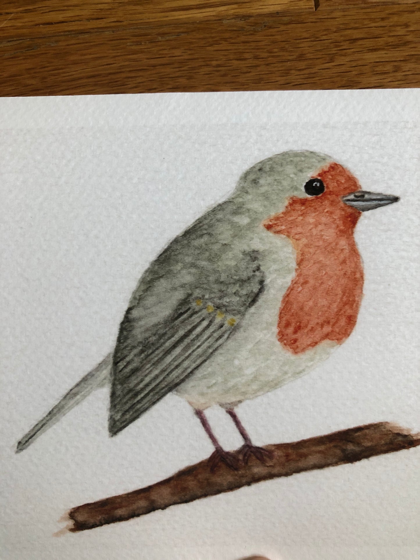 English Robin watercolor print