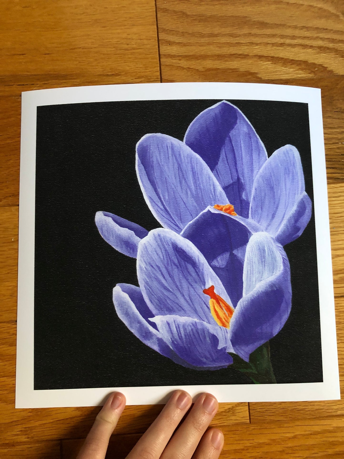Crocus print