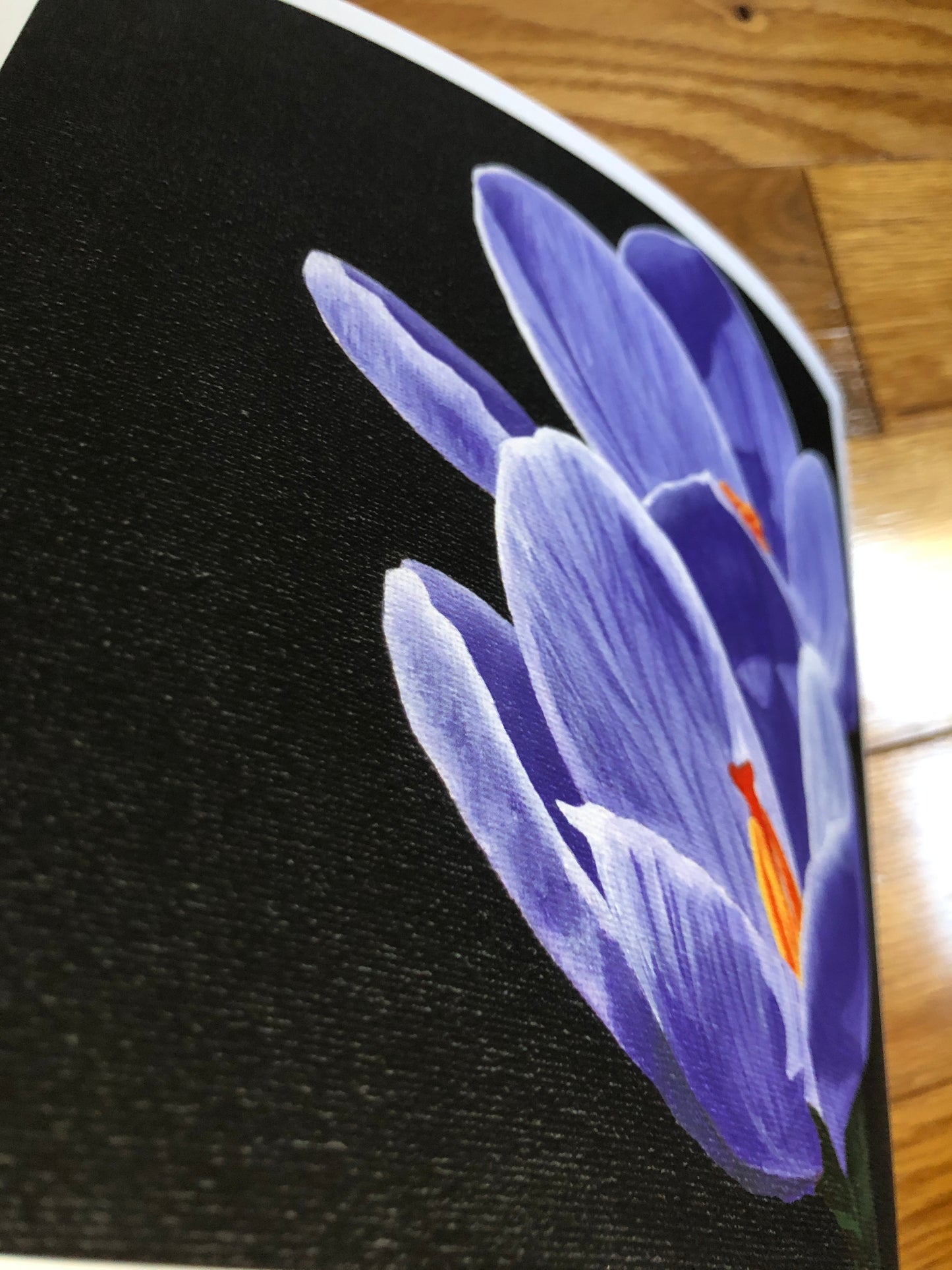 Crocus print