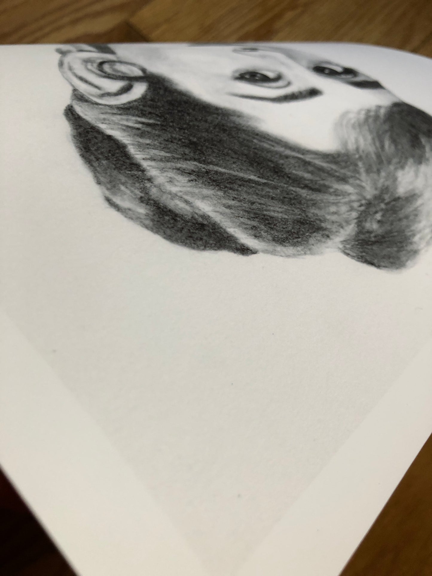 Audrey Hepburn graphite portrait