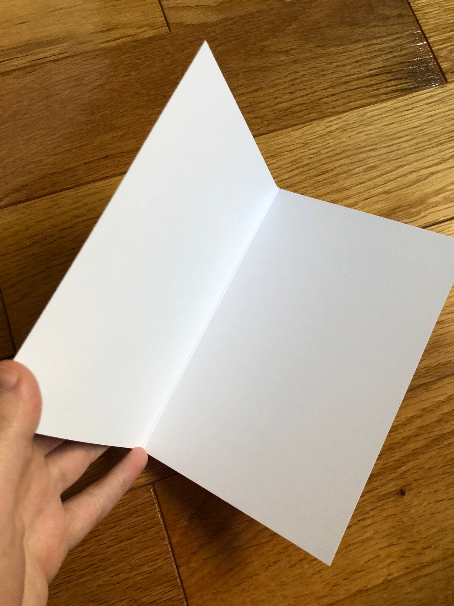Morning Glory notecards