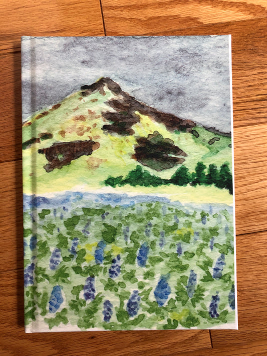 Icelandic Lupines Journal