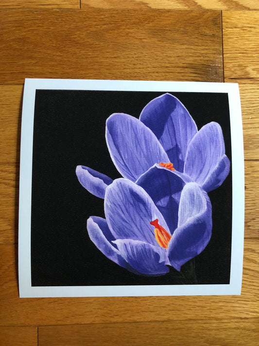 Crocus print - Only ONE of this paper type! -