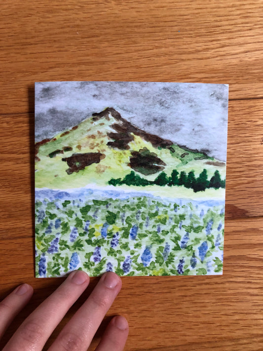 Icelandic Lupines watercolor notecard