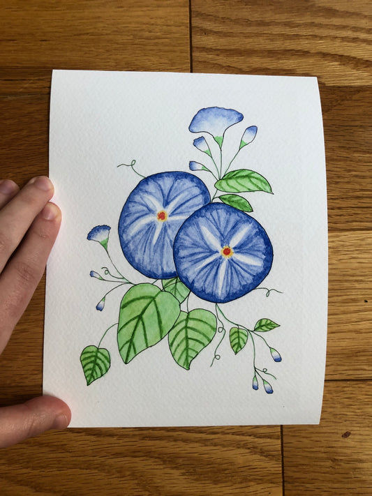Morning Glory Watercolor Print