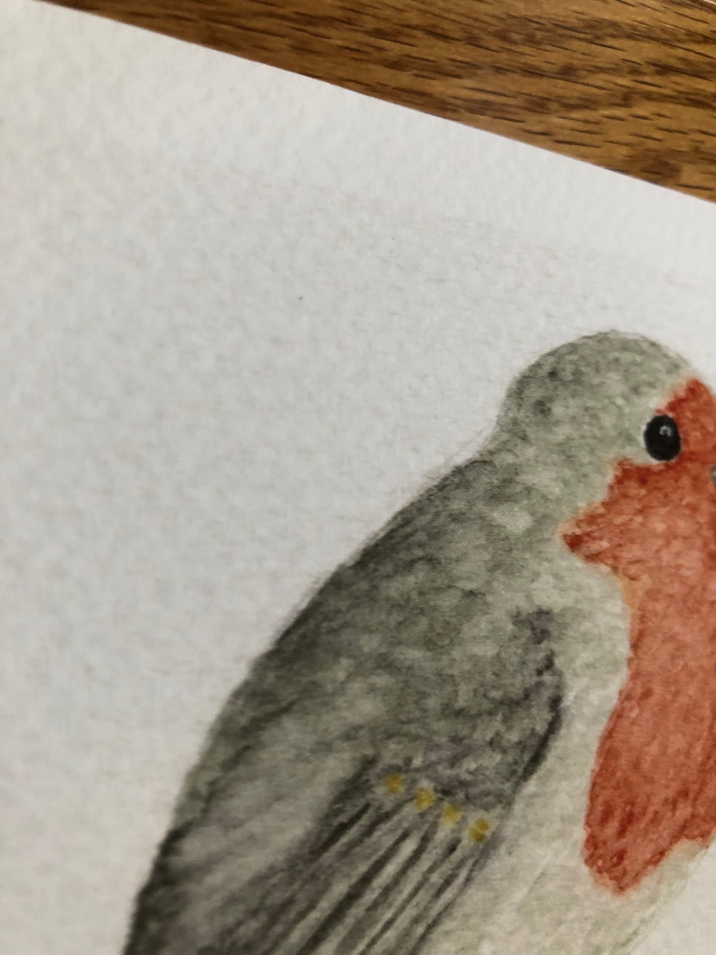 English Robin watercolor print