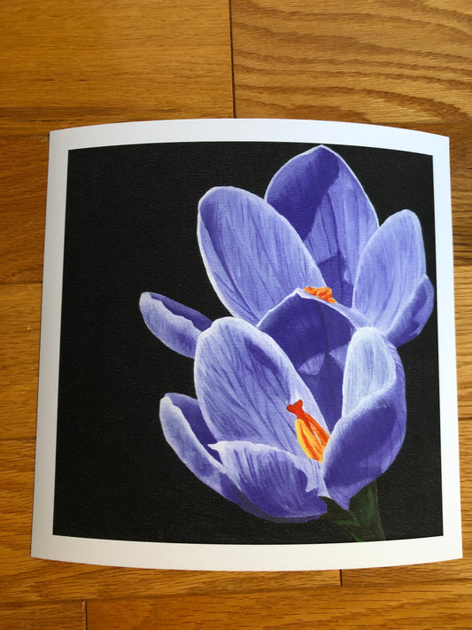 Crocus print