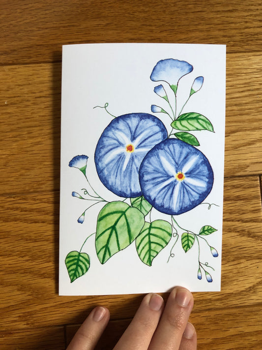 Morning Glory notecards