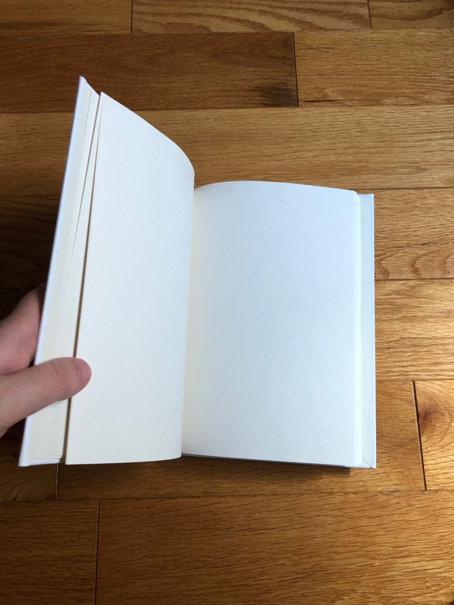 Morning Glory Journal
